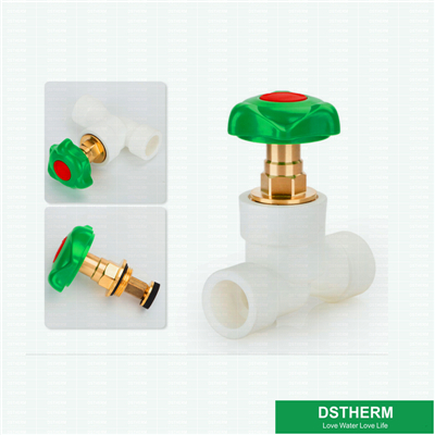 Ppr Stop Valve Type Y With High Quality Heavier Valve Cartridges