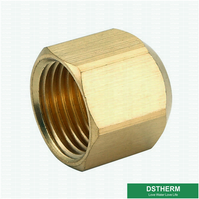 Flared Fittings Brass Flared Female Threaded Roung Plug Fittings