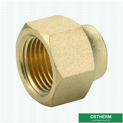 Flared Fittings Brass Flared Female Coupling Plug 