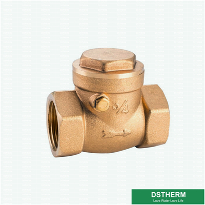 Middle Weight Tee Type Designs Customized Brass Check Valve 